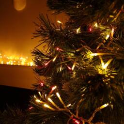 Samuel Alexander 960 LED 12m Premier Cluster Indoor Outdoor Multi Function Mains Operated Christmas Lights with Timer on Clear Cable in Red & Gold - thumbnail 3