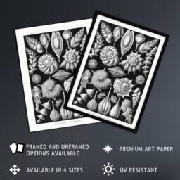 Artery8 Thalamophora Forams Shells Haeckel Botanical Framed Wall Art Print in Black - Size: A4 - thumbnail 2