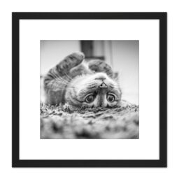 Artery8 Cat Kitten Lying Upside Down Carpet Black White Photo 8X8 Inch Square Wooden Framed Wall Art Print Picture with Mount - thumbnail 1