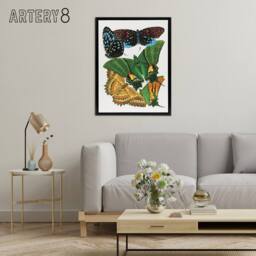 "Artery8 Vintage Vibrant Butterflies Papillons Framed Canvas Wall Art Print Seguy - Size: W18"" x H24""" - thumbnail 3