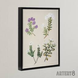 "Artery8 New Zealand Four Veronica Flowering Plants Featon Framed Canvas Art in Beige - Size: W12"" x H16""" - thumbnail 2