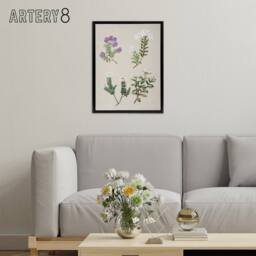 "Artery8 New Zealand Four Veronica Flowering Plants Featon Framed Canvas Art in Beige - Size: W12"" x H16""" - thumbnail 3