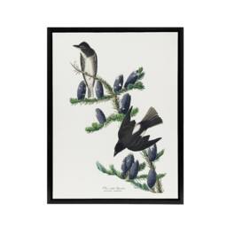 "Artery8 Olive Sided Flycatcher Bird on Fir Tree Audubon Framed Canvas Wall Art in White - Size: W12"" x H16""" - thumbnail 1