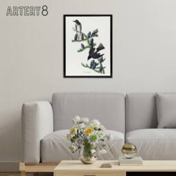 "Artery8 Olive Sided Flycatcher Bird on Fir Tree Audubon Framed Canvas Wall Art in White - Size: W12"" x H16""" - thumbnail 3