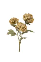 KDMD Balmoral Viburnum Spray Light Brown 82cm - thumbnail 6