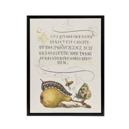 "Artery8 Caterpillar Pear & Butterfly Calligraphy Framed Canvas Wall Art in White - Size: W12"" x H16""" - thumbnail 1