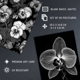 "Artery8 Wall Art Print 50 Pcs Flower Floral Aesthetic Black White Collage Kit s A6 Set Pack 15x10 cm (6x4"") Wall Home Student Boy Teen Room Elegant" - thumbnail 5
