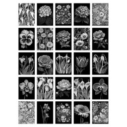 "Artery8 Wall Art Print 50 Pcs Flower Floral Aesthetic Black White Collage Kit s A6 Set Pack 15x10 cm (6x4"") Wall Home Student Boy Teen Room Elegant" - thumbnail 2