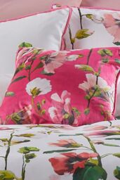 Soiree 'Layla' Velvet Filled Cushion in Pink - Size: 43 cm x 43 cm