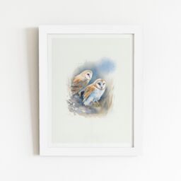 "Warren Reed - Designer Barn Ano Owls Watercolour Framed Art Print in White - Size: W8"" x H10""" - thumbnail 2