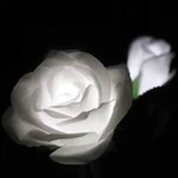 Havendro White Solar Power LED 5 Head Rose Flower Stake Lights Garden - thumbnail 4