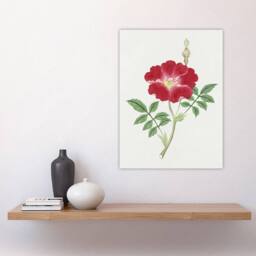 "Artery8 Red Flower Vintage Wall Art Print Japanese Botanical - Size: W12"" x H16""" - thumbnail 4