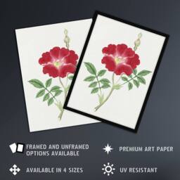 "Artery8 Red Flower Vintage Wall Art Print Japanese Botanical - Size: W12"" x H16""" - thumbnail 2