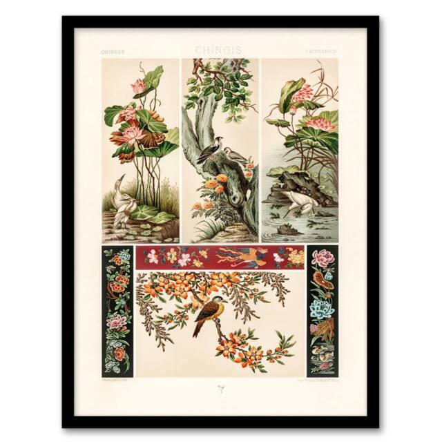 Artery8 Albert Racinet Framed Wall Art Chinese Patterns of Birds & Flowers in White - Size: A4 - image 1