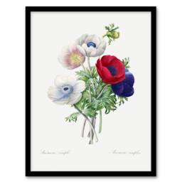 Artery8 Anemone Flowers Botanical Redoute Vintage Framed Wall Art Print in White - Size: A4 - thumbnail 1