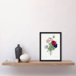 Artery8 Anemone Flowers Botanical Redoute Vintage Framed Wall Art Print in White - Size: A4 - thumbnail 4