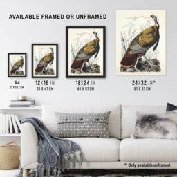 "Artery8 Birds of America Wild Turkey Audubon Nature Wall Art Print Poster in White - Size: W12"" x H16""" - thumbnail 3