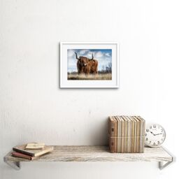 "Artery8 Wall Art Print Scottish Highland Cow/Coo Framed in White - Size: W7"" x H9""" - thumbnail 2