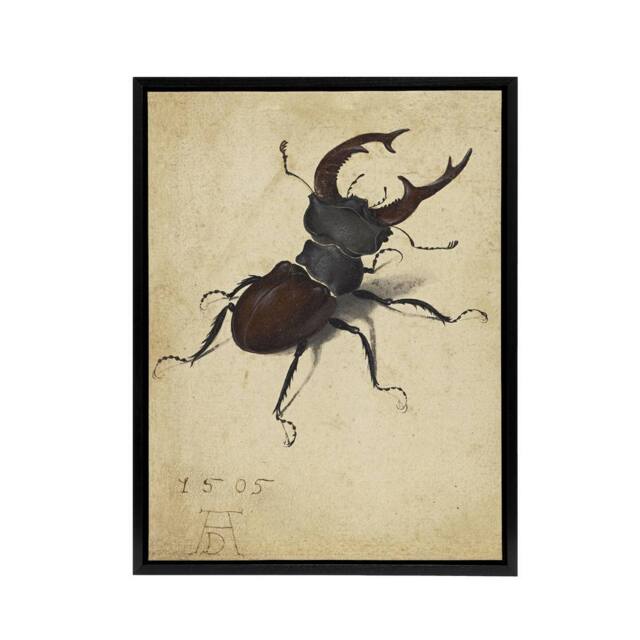 "Artery8 Stag Beetle Nature Study Albrecht Durer Framed Canvas Wall Art Print in Beige - Size: W18"" x H24""" - image 1