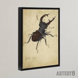 "Artery8 Stag Beetle Nature Study Albrecht Durer Framed Canvas Wall Art Print in Beige - Size: W18"" x H24""" - thumbnail 2