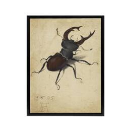 "Artery8 Stag Beetle Nature Study Albrecht Durer Framed Canvas Wall Art Print in Beige - Size: W18"" x H24""" - thumbnail 1