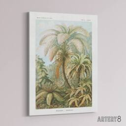 "Artery8 Tropical Nature Filicinae Fern Plants Haeckel Canvas Wall Art Print in Green - Size: W12"" x H16""" - thumbnail 2