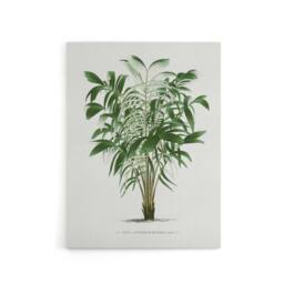 "Artery8 Astrocaryum Murumuru Palm Tree Kerchove Canvas Wall Art Print in White - Size: W12"" x H16""" - thumbnail 1