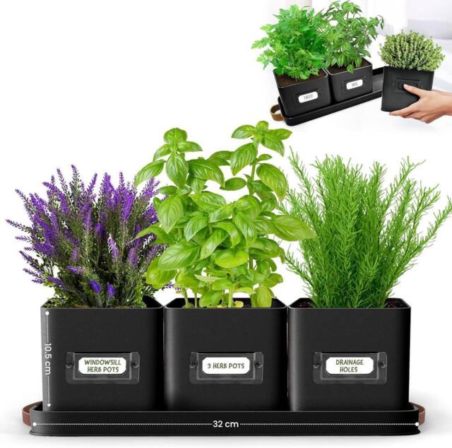 Green Thumbz Set of 3 Herb Planter Indoor with Leather Handled Tray in Black - image 1