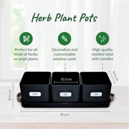Green Thumbz Set of 3 Herb Planter Indoor with Leather Handled Tray in Black - thumbnail 2