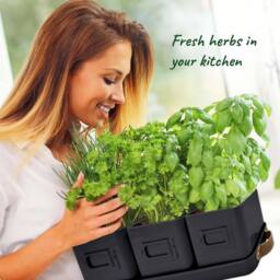 Green Thumbz Set of 3 Herb Planter Indoor with Leather Handled Tray in Black - thumbnail 4
