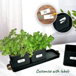 Green Thumbz Set of 3 Herb Planter Indoor with Leather Handled Tray in Black - thumbnail 3