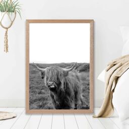 ARTZE Cheeky Highland Cow Animal Black & White Photo Framed Print SIZE: A3 with Oak Frame - Size: A4 - thumbnail 2