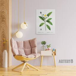 "Artery8 Gordonia Tree Loblolly Bay Flowers Redoute Canvas Wall Art in White - Size: W18"" x H24""" - thumbnail 3