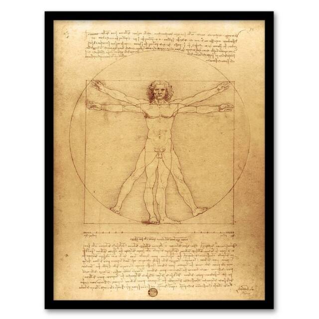 Artery8 Vitruvian Man Drawing da Vinci Vintage Framed Wall Art Print in Brown - Size: A4 - image 1