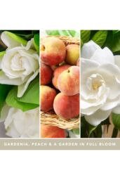 Yankee Candle Women's Signature Large Jar White Gardenia - thumbnail 3