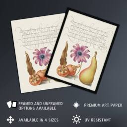 Artery8 Medlar Poppy Anemone & Pear Calligraphy Framed Wall Art Print in White - Size: A4 - thumbnail 2