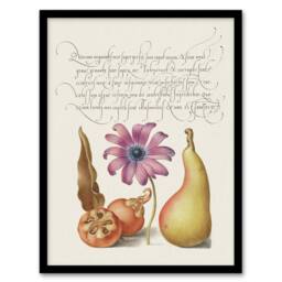 Artery8 Medlar Poppy Anemone & Pear Calligraphy Framed Wall Art Print in White - Size: A4 - thumbnail 1
