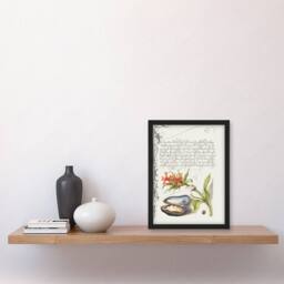Artery8 Model Book of Calligraphy Framed Wall Art Flower Mussel & Ladybird in White - Size: A4 - thumbnail 2