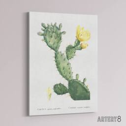 "Artery8 Opuntia Polyanthos Cactus Redoute Vintage Canvas Wall Art in White - Size: W18"" x H24""" - thumbnail 2