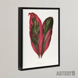 "Artery8 AF Lydon B Fawcett Pink Dracaena Terminalis Leaf Framed Canvas Art in White - Size: W12"" x H16""" - thumbnail 2