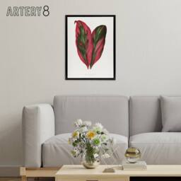 "Artery8 AF Lydon B Fawcett Pink Dracaena Terminalis Leaf Framed Canvas Art in White - Size: W12"" x H16""" - thumbnail 3