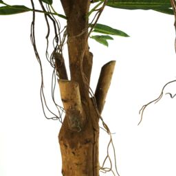 Leaf 100cm Longifolia Ficus Tree Artificial in Green - thumbnail 4