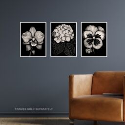 Artery8 Wall Art Print Set of 3 Elegant Single Hydrangea Orchid Pansy Flowers Floral Black White Striking Impact Artwork Living Room Poster s Pack - thumbnail 2