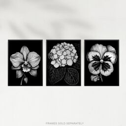 Artery8 Wall Art Print Set of 3 Elegant Single Hydrangea Orchid Pansy Flowers Floral Black White Striking Impact Artwork Living Room Poster s Pack - thumbnail 5
