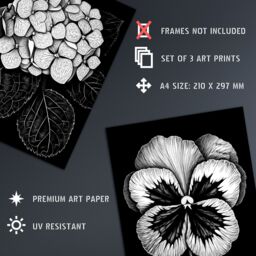 Artery8 Wall Art Print Set of 3 Elegant Single Hydrangea Orchid Pansy Flowers Floral Black White Striking Impact Artwork Living Room Poster s Pack - thumbnail 4