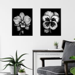 Artery8 Wall Art Print Set of 3 Elegant Single Hydrangea Orchid Pansy Flowers Floral Black White Striking Impact Artwork Living Room Poster s Pack - thumbnail 6