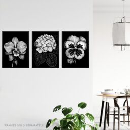 Artery8 Wall Art Print Set of 3 Elegant Single Hydrangea Orchid Pansy Flowers Floral Black White Striking Impact Artwork Living Room Poster s Pack - thumbnail 3