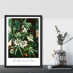 ARTZE Vintage Floral Exhibition - Blue Passion Flower Framed Print SIZE: A2 with Black Frame in Green - Size: A4 - thumbnail 2