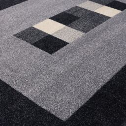 THE RUGS Efes Collection Modern Living Room Rug Bordered Grey Black 7439GB - Size: 80 cm x 150 cm - thumbnail 3