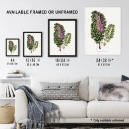 Artery8 AF Lydon Benjamin Fawcett Green Wild Cabbage Leaf Framed Art Print in White - Size: A4 - thumbnail 3